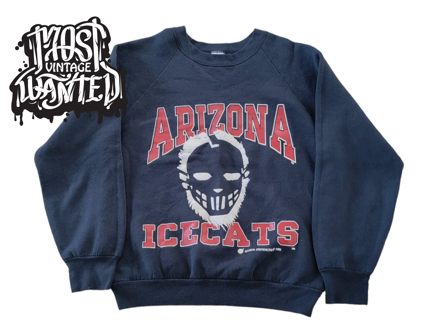 Vintage 1990s Arizona IceCats Sweatshirt