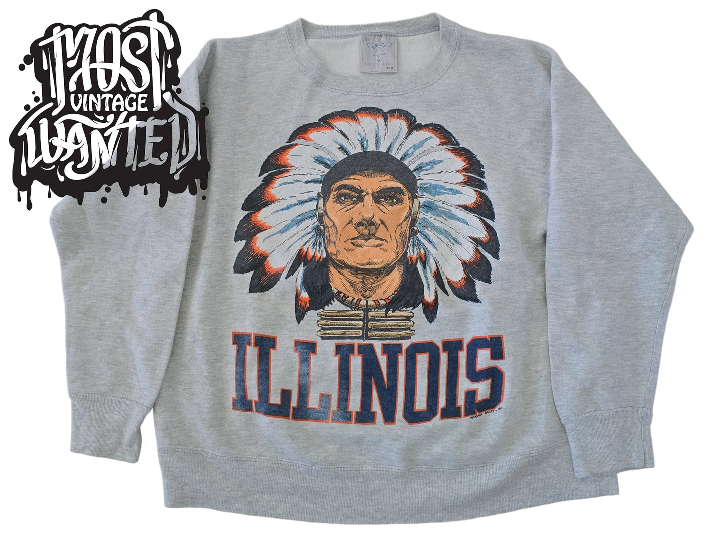 Vintage 1980s University of Illinois "Fighting Illini" Sweatshirt